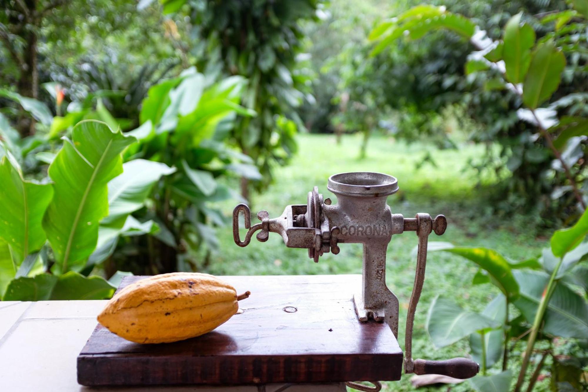Essence Arenal Spa & Yoga El Castillo Ngoại thất bức ảnh